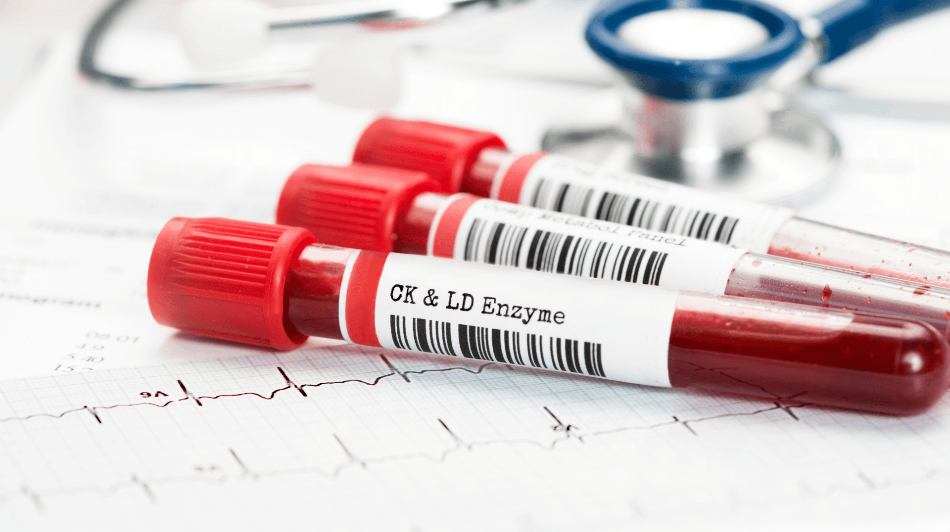 Patient Registry Software Development